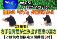 ブロマガ宣伝 超重要 右手首の背屈が生み出す恩恵の凄さを知る ご購読様限定公開okuda出演動画5付 World Golf Swing Labo Wgsl